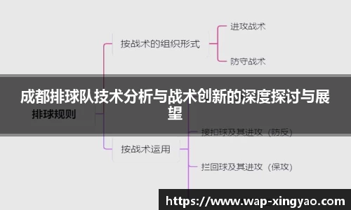 成都排球队技术分析与战术创新的深度探讨与展望